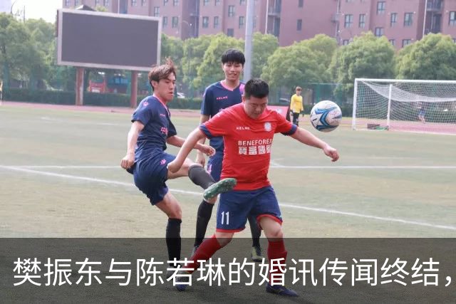 樊振东与陈若琳的婚讯传闻终结，情感生活再次悬而未决