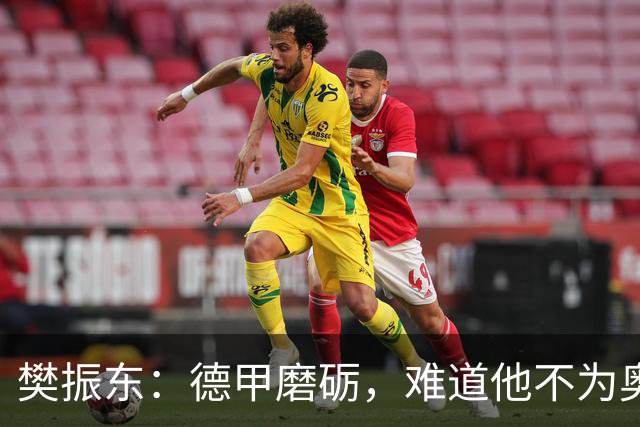 樊振东：德甲磨砺，难道他不为奥运而战？