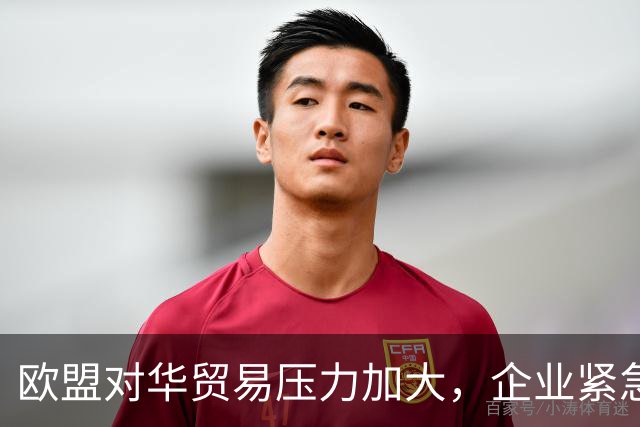 欧盟对华贸易压力加大，企业紧急应对会议召开