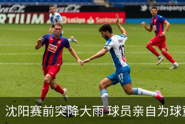 沈阳赛前突降大雨 球员亲自为球童挡雨暖人心
