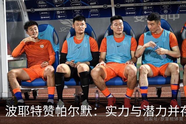 波耶特赞帕尔默：实力与潜力并存，状态值得期待