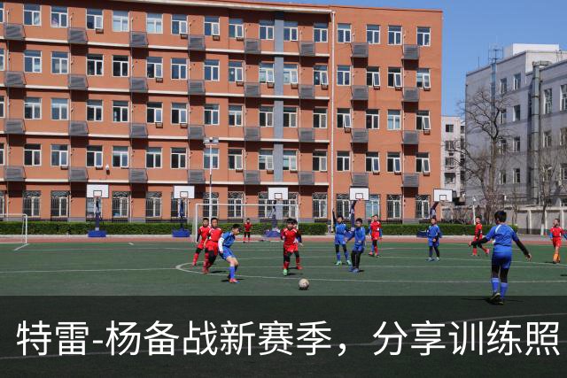 特雷-杨备战新赛季，分享训练照