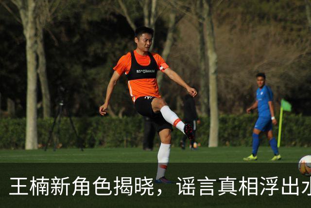 王楠新角色揭晓，谣言真相浮出水面