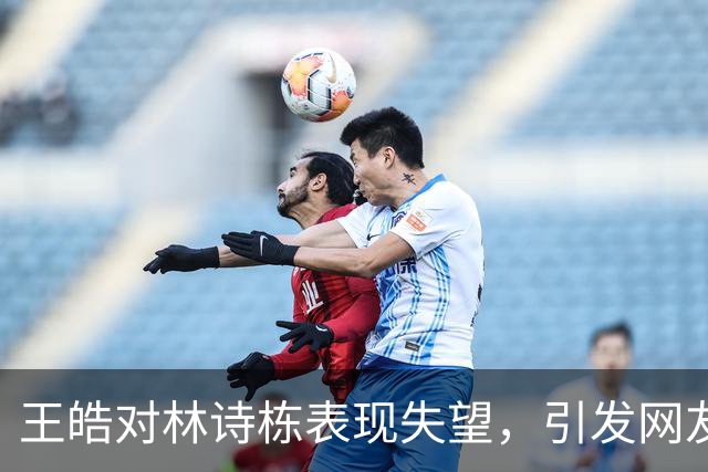 王皓对林诗栋表现失望，引发网友争议