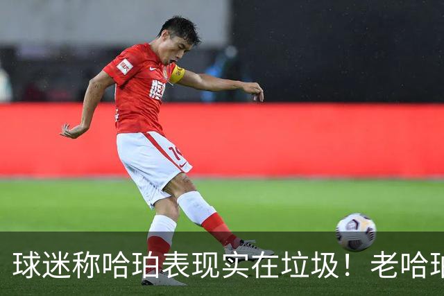 球迷称哈珀表现实在垃圾！老哈珀反击：你打得什么？真是讨厌鬼！