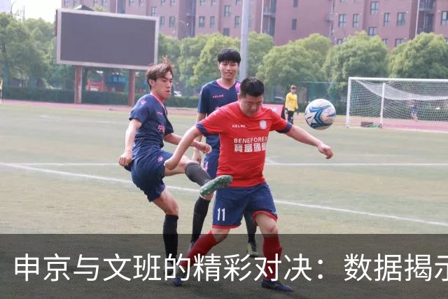 申京与文班的精彩对决：数据揭示双方优势