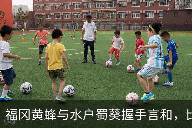 福冈黄蜂与水户蜀葵握手言和，比赛结果为1-1