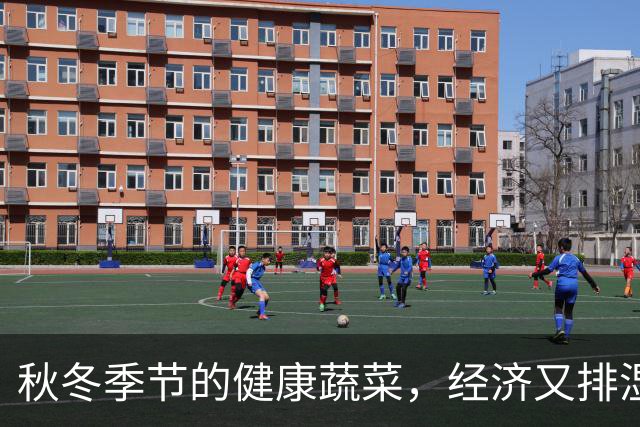 秋冬季节的健康蔬菜，经济又排湿，帮你清除体内痰湿