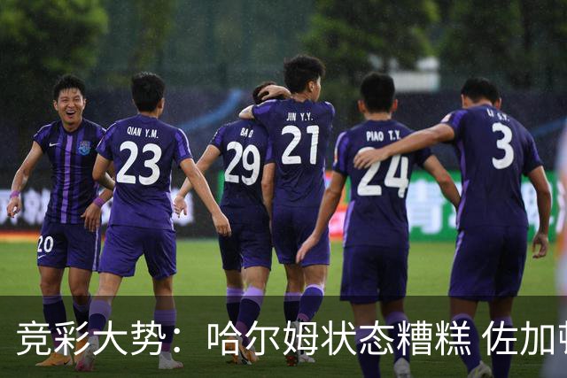 竞彩大势：哈尔姆状态糟糕 佐加顿斯大胜可期