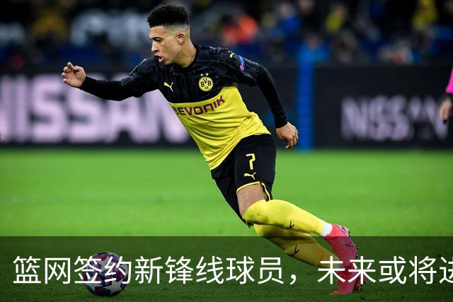 篮网签约新锋线球员，未来或将进行交易
