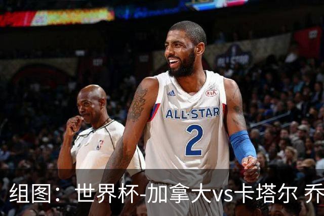组图：世界杯-加拿大vs卡塔尔 乔纳森-戴维打门被扑拉林补射连场破门