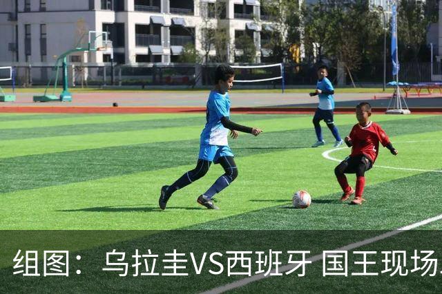 组图：乌拉圭VS西班牙 国王现场助威斗牛士军团