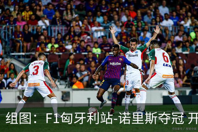 组图：F1匈牙利站-诺里斯夺冠 开心亲吻奖杯