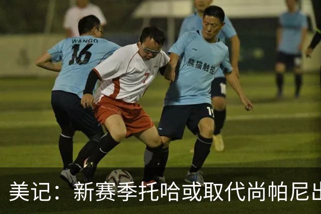 美记：新赛季托哈或取代尚帕尼出任首发 前者经验丰富且技术全面