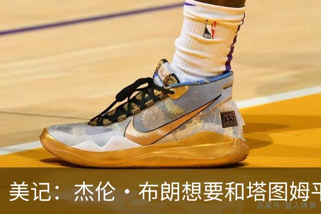 美记：杰伦·布朗想要和塔图姆平等的队内地位 引起球队内部不满
