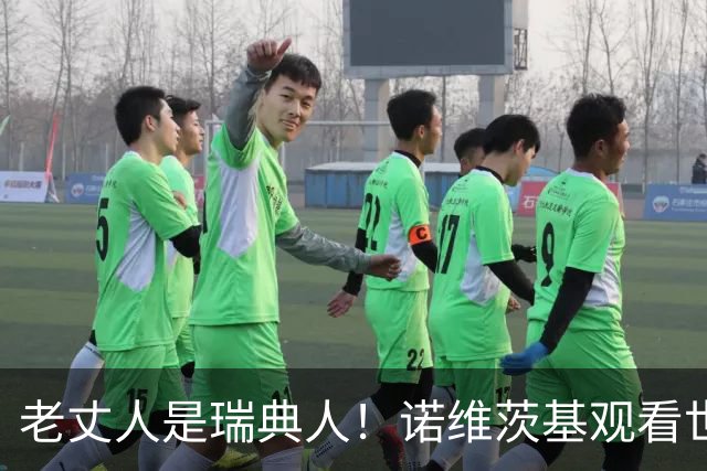 老丈人是瑞典人！诺维茨基观看世界杯 支持瑞典 面对镜头有点错愕