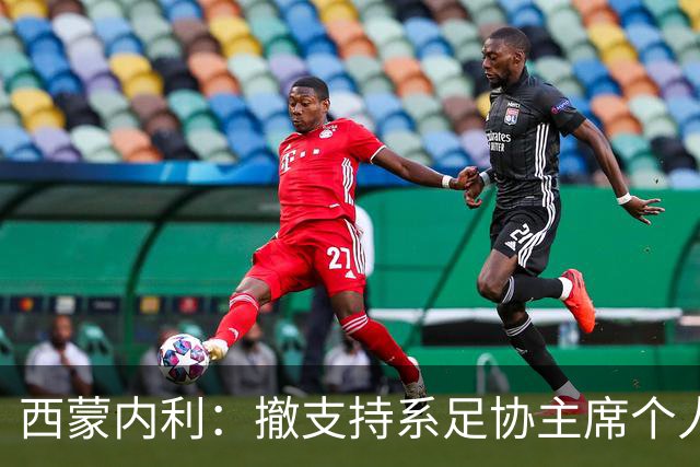 西蒙内利：撤支持系足协主席个人决定