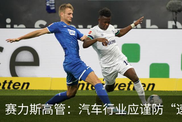 赛力斯高管：汽车行业应谨防“速成”带来的风险