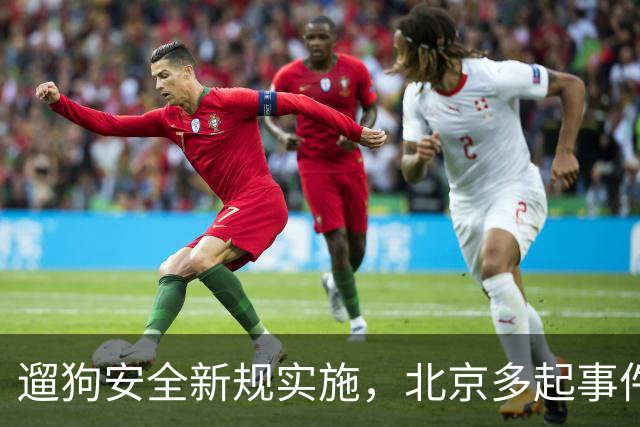 遛狗安全新规实施，北京多起事件引发关注