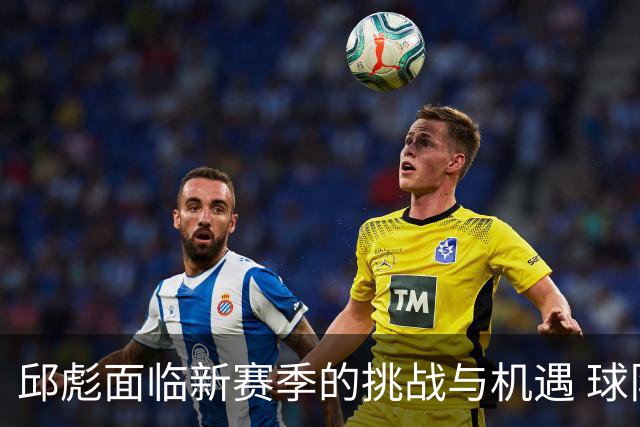 邱彪面临新赛季的挑战与机遇 球队组合需进一步优化