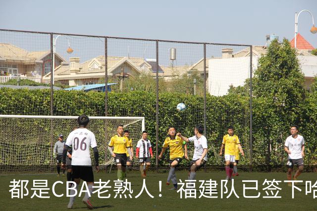 都是CBA老熟人！福建队已签下哈姆雷特与达里尔·梅肯