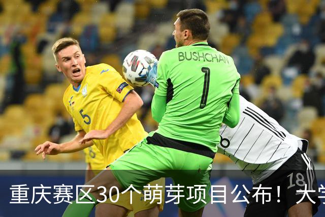 重庆赛区30个萌芽项目公布！大学生创新大赛进入新阶段
