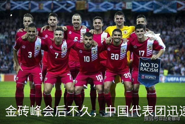 金砖峰会后不久，中国代表团迅速返回