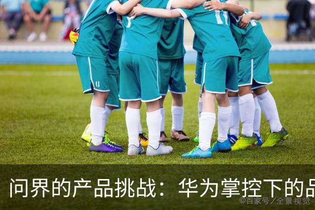 问界的产品挑战：华为掌控下的品牌定位迷失