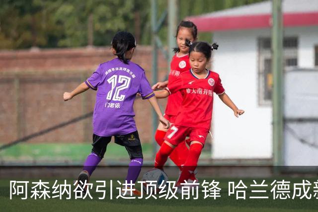 阿森纳欲引进顶级前锋 哈兰德成新目标