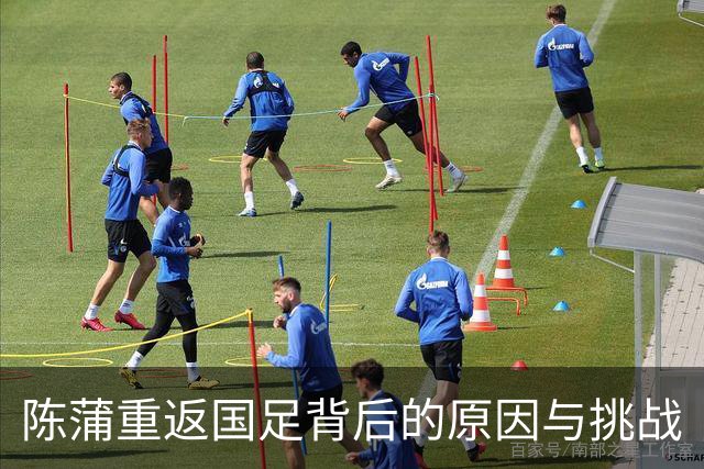 陈蒲重返国足背后的原因与挑战