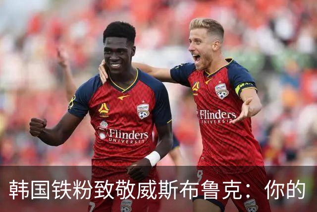 韩国铁粉致敬威斯布鲁克：你的“Why Not？”永存