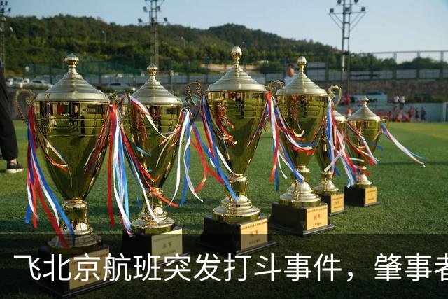 飞北京航班突发打斗事件，肇事者被依法处理