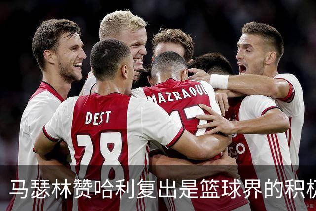 马瑟林赞哈利复出是篮球界的积极信号