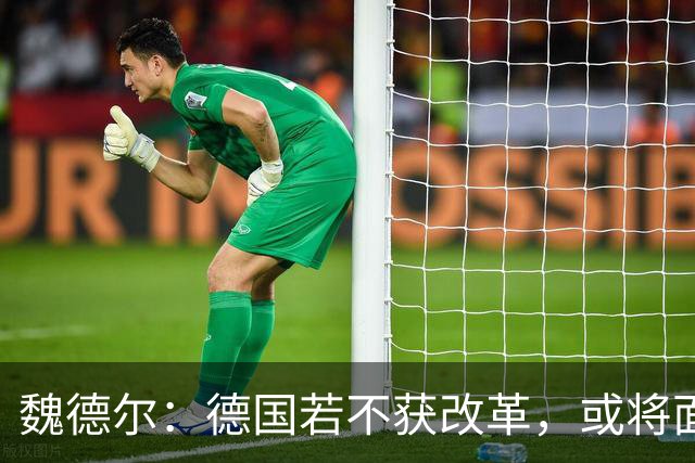 魏德尔：德国若不获改革，或将面临脱欧公投