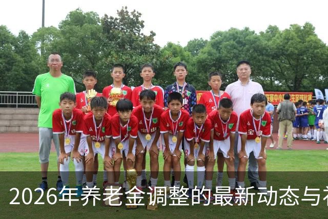 2026年养老金调整的最新动态与补发预期分析