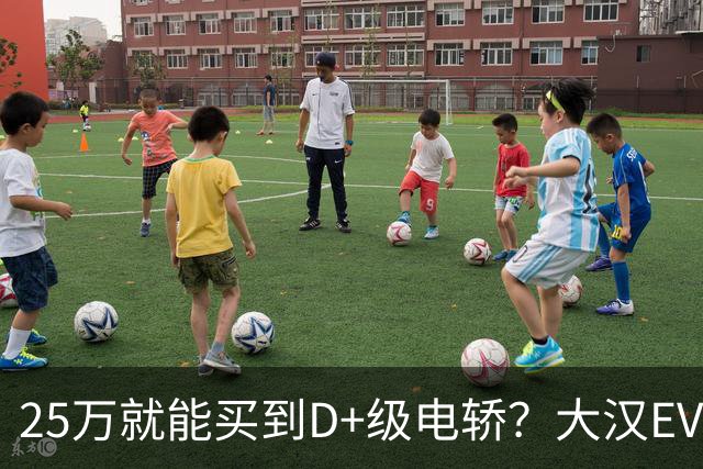 25万就能买到D+级电轿？大汉EV把局面搅热了