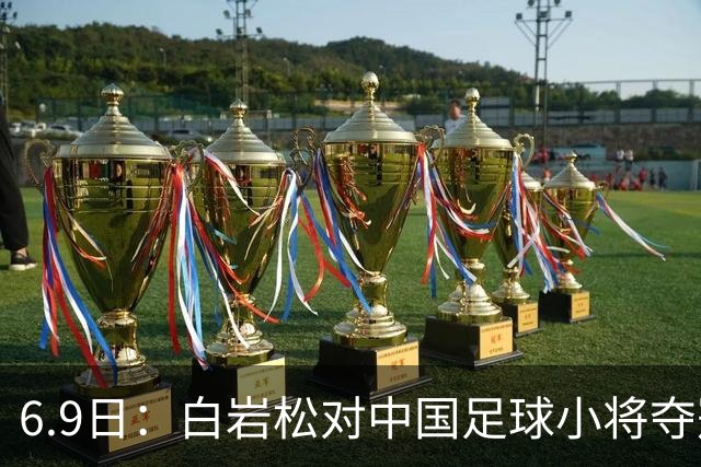 6.9日：白岩松对中国足球小将夺冠后的独白，直指董路与足球真相，这四点观点令人深思