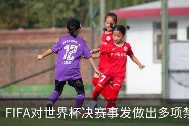 FIFA对世界杯决赛事发做出多项禁赛与罚款